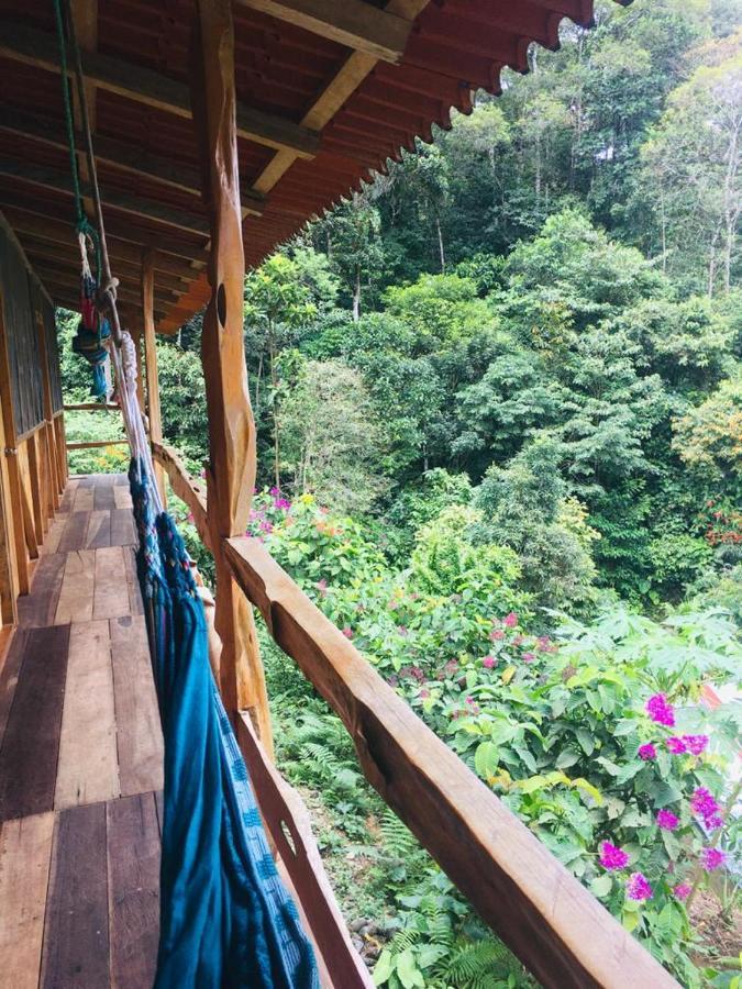 Cabanas Pimpilala Hotel Tena Kültér fotó